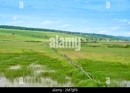 Prati verdi del territorio Trans-Baikal in Russia contro un cielo blu con nuvole Foto Stock