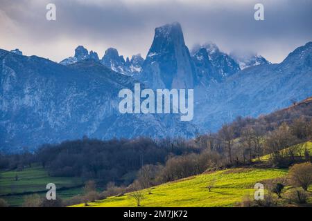 Picco di Naranjo de Bulnes (Picu Urriellu), Picos de Europa, Asturie, Spagna Foto Stock