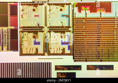 Wafer di silicio con microchip utilizzati nell'elettronica per la fabbricazione di circuiti integrati. Foto Stock