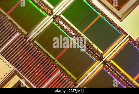 Wafer di silicio con microchip utilizzati nell'elettronica per la fabbricazione di circuiti integrati. Foto Stock