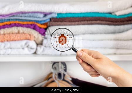 Donna con lente d'ingrandimento che rileva gli insetti nel guardaroba a casa Foto Stock