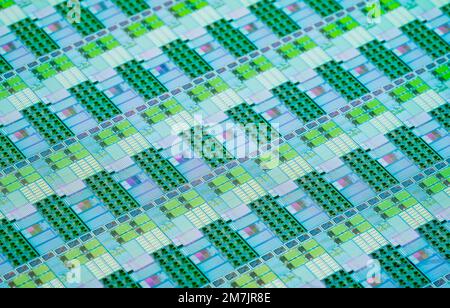 Wafer e microcircuiti di silicio, strato di materiale semiconduttore, utilizzato nell'elettronica per la fabbricazione di circuiti integrati. Foto Stock