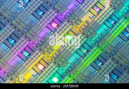 Wafer e microcircuiti di silicio, strato di materiale semiconduttore, utilizzato nell'elettronica per la fabbricazione di circuiti integrati. Foto Stock