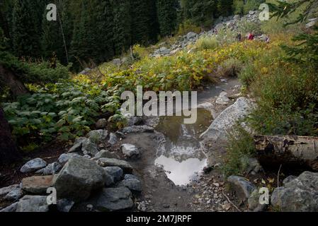 I Teton si riflettono in una pozza sul Cascade Canyon Trail nel Grand Teton National Park Foto Stock
