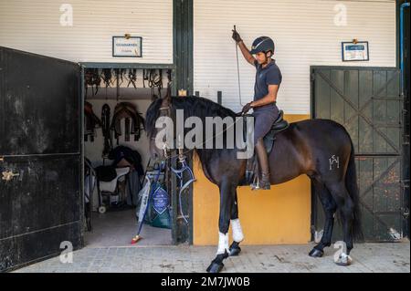 Il pilota si preparerà alla fattoria di cavalli di cavalli andalusi Jerez de la Frontera, Spagna Foto Stock