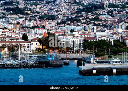 Funchal. Zona del porto di mattina presto, Madeira. Portogallo. Foto Stock