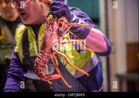 Pesce fresco in vendita nel più grande mercato alimentare all'ingrosso in Spagna, Madrid, Spagna Foto Stock