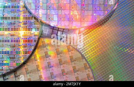 Wafer monocristallino al silicio con fabbricazione di microchip utilizzati nella fabbricazione di circuiti integrati elettronici. Foto Stock