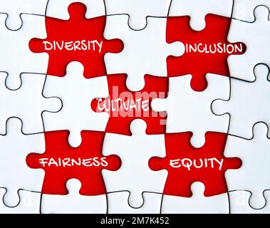 Coltiva la diversità, l'inclusione, l'equità e il testo di equità sul puzzle mancante Foto Stock