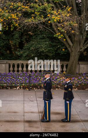 Cambio della guardia, la guardia militare presso la Tomba del Milite Ignoto è cambiata in una cerimonia elaborata, Arlington National Cemetery, USA Foto Stock