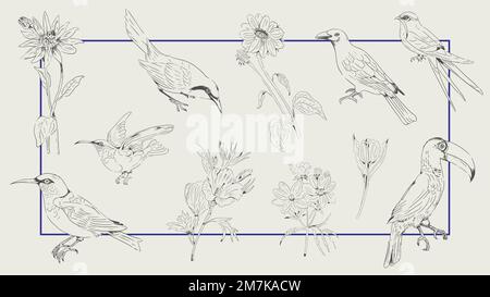 Raccolta di uccelli e fiori disegnati a mano su un vettore di sfondo cornice Illustrazione Vettoriale