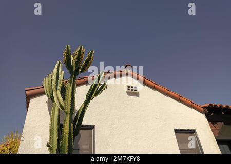 facciata laterale della casa con tetto e cactus su sfondo cielo blu, casa Foto Stock