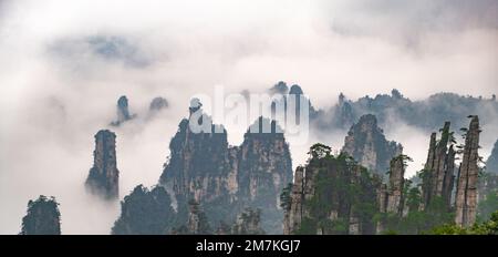 Zhangjiajie Forest Park. Vista panoramica sulle scogliere e le montagne nelle nuvole di vapore. Avatar montagna rocce sopra la valle nubi nebbia. Foto Stock