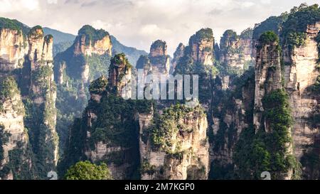 Avatar Montagne maestoso paesaggio. Vista panoramica sulla valle delle scogliere e delle montagne. Zhangjiajie Forest Park in Cina. Foto Stock