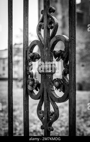 Un ornamento in un cancello di ferro Foto Stock