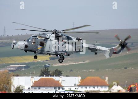 Agusta-Westland AW-159 Wildcat AH.1 del corpo aereo dell'esercito britannico a Shoreham Foto Stock