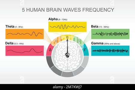 Grafico illustrativo infografico delle onde cerebrali tensione elettrica oscillante Delta, Theta, Alpha, Beta, gamma Vector, studio sull'attività dei neuroni cerebrali Illustrazione Vettoriale
