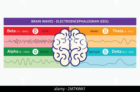 Lo studio delle onde cerebrali misura il delta rispetto al modello gamma e regola l'attività cerebrale testa umana in un grafico EEG onde cerebrali. Illustrazione del vettore piatto Illustrazione Vettoriale