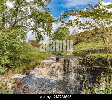 Tinte autunnali che si formano negli alberi che circondano questa pittoresca cascata su Ettersgill Beck in alta Teesdale. Foto Stock