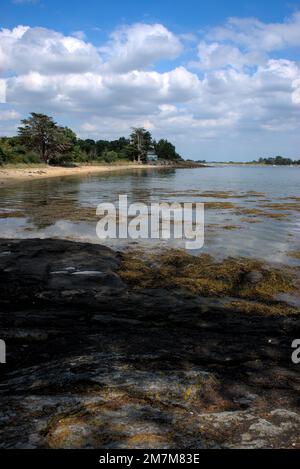 Arz isola spiaggia, campo da golf Morbihan, Bretagna, Francia Foto Stock