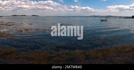 Arz isola spiaggia, campo da golf Morbihan, Bretagna, Francia Foto Stock