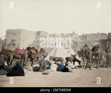 Wilhelm Hammerschmidt studio: Vintage 19th c. photo - campo carvan a cammello, il Cairo, Egitto Foto Stock