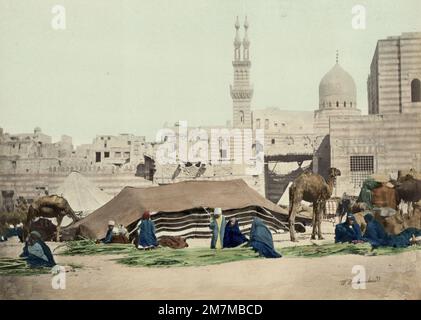 Wilhelm Hammerschmidt studio: Vintage 19th c. photo - tende e cammelli beduini, Cairo, Egitto Foto Stock