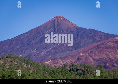 Telefoto delle colline coperte di pini verdi in primo piano con vulcano viola e blu che si erge in lontananza, sotto Foto Stock