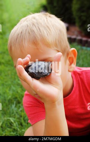 Il ragazzino si diverte con la tartaruga. Foto Stock