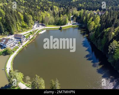 Europa, Germania, Germania meridionale, Baden-Württemberg, distretto di Rems-Murr, Foresta Svevo-Franconia, Ebnisee nella Foresta Sveva dalla vista dall'alto Foto Stock