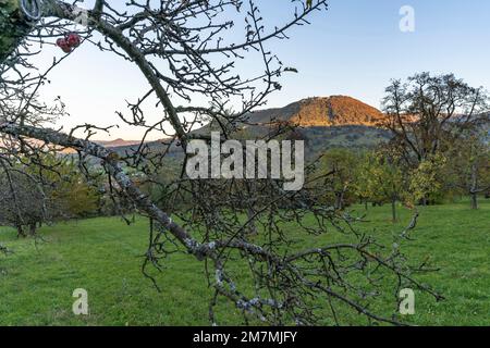 Europa, Germania, Germania meridionale, Baden-Wuerttemberg, Albo svevo, Bissingen an der Teck, Vista sul prato del frutteto nella forland dell'Alb Foto Stock