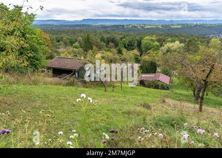 Europa, Germania, Germania meridionale, Baden-Wuerttemberg, regione di Schönbuch, Vista dalla torre di Uhlberg all'Albo Svevo Foto Stock