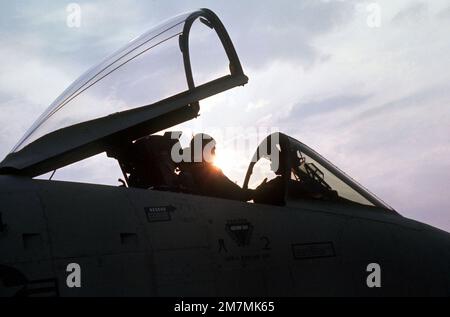 Un pilota di aerei Thunderbolt II a-10, assegnato alla Tactical Fighter Wing 355th, si prepara a salire dal suo aereo dopo aver volato una missione nel tardo pomeriggio. L'aeromobile è in un tour delle basi aeree in Corea per familiarizzare i comandanti sul campo coreani e americani con le sue capacità. Base: Osan Air base Nazione: Repubblica di Corea (KOR) Foto Stock