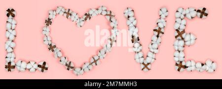 Parola amore fatto di fiori di cotone. Concetto di puro amore organico. Lettera a forma di cuore di cotton fioc. Sfondo rosa Foto Stock