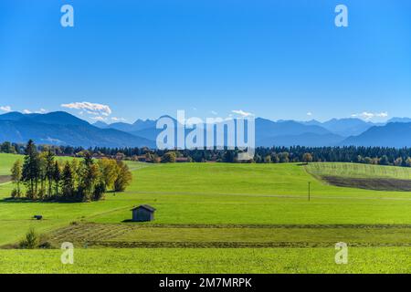 Germania, Baviera, alta Baviera, Tölzer Land, Dietramszell, Distretto Humbach, paesaggio culturale contro Vorkarwendel con Juifen Foto Stock