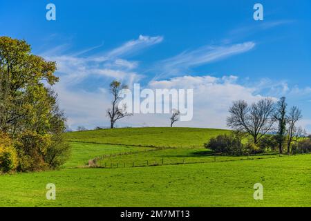 Germania, Baviera, distretto di Starnberg, Berg, distretto di Aufkirchen, paesaggio autunnale Foto Stock