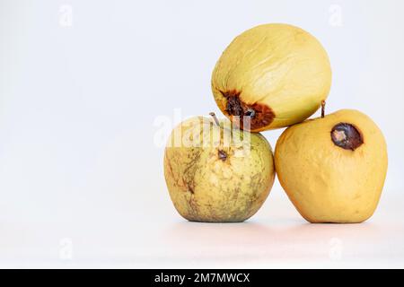 Mele rovinate, disidratate e marciume, frutta isolata su fondo bianco Foto Stock