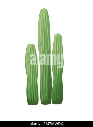 Cactus verde esotico deserto con spine decorazione pianta vettore illustrazione isolato su sfondo bianco Illustrazione Vettoriale