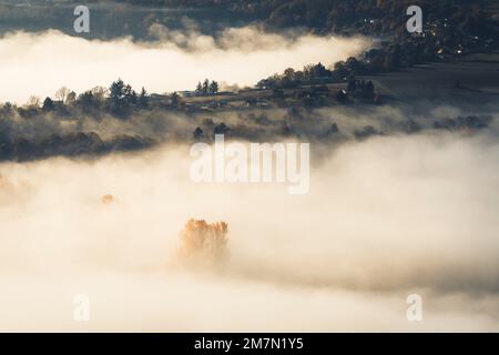 Inversione del tempo sull'Edersee nel nord dell'Assia nel Parco Nazionale di Kellerwald-Edersee in una mattinata autunnale, vista sul lago nuvoloso Foto Stock