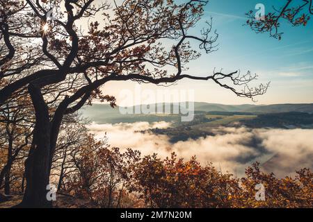 Inversione della situazione meteorologica sull'Edersee, nel nord dell'Assia, nel Parco Nazionale di Kellerwald-Edersee, in una mattinata autunnale, vista sul lago nuvoloso, Foto Stock