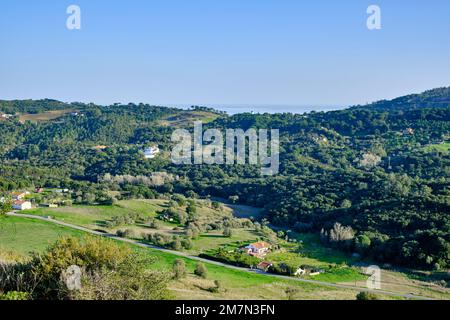 Vale dos Barris al Parco Naturale di Arrabida. Palmela, Portogallo Foto Stock