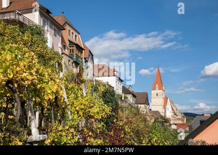 Chiesa parrocchiale cattolica dell'Assunzione, Weißenkirchen in der Wachau, Wachau, Waldviertel, bassa Austria, Austria Foto Stock