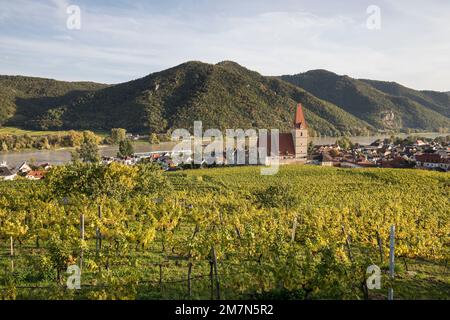 Vista di Weißenkirchen in der Wachau, chiesa parrocchiale cattolica dell'Assunzione della Vergine Maria, circondata dal Danubio e dai vigneti, Wachau, Waldvier Foto Stock