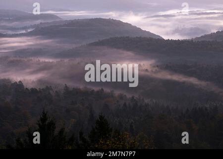 La nebbia si trova nelle valli della Foresta Palatinato, atmosfera mattutina, Parco Naturale della Foresta Palatinato, Foresta Palatinato-Riserva della Biosfera dei Vosgi del Nord, Germania, Renania-Palatinato Foto Stock