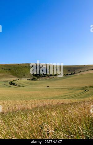 Guardando fuori sul terreno agricolo del Sussex verso il Long Man of Wilmington sulla collina di Windover Foto Stock