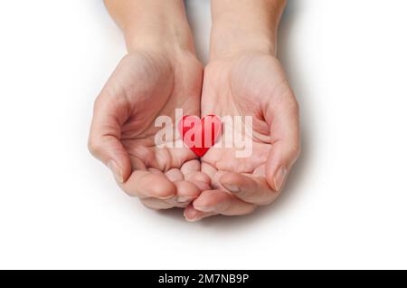 Le mani delle donne tengono un piccolo cuore rosso nei palmi delle loro mani Foto Stock