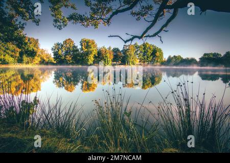 Vista in mattinata su un lago splendidamente coltivato, foto paesaggio in autunno con riflessione in acqua, Meerpfuhl, Usingen, Taunus, Assia, Germania Foto Stock