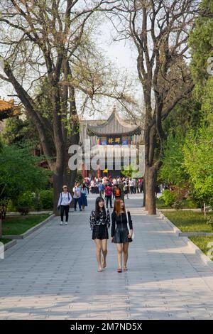 Beilin Museum, Faerest of Steles, Stele Museum, Xian, Provincia di Shaanxi, Cina Headline: Beilin Museum, Foerest of Steles, Stele Museum, Xian, Shaanxi P Foto Stock