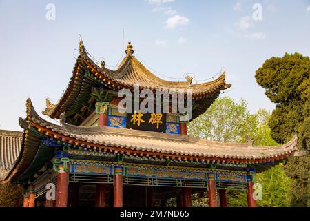 Beilin Museum, Faerest of Steles, Stele Museum, Xian, Provincia di Shaanxi, Cina Headline: Beilin Museum, Foerest of Steles, Stele Museum, Xian, Shaanxi P Foto Stock