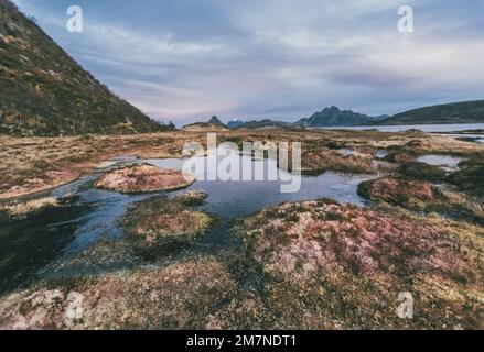 Tipico paesaggio dei fiordi in autunno al tramonto a Vesteralen, Norvegia, panorama del paesaggio nordico costiero con rocce, mare, paludi, montagne e acque Foto Stock